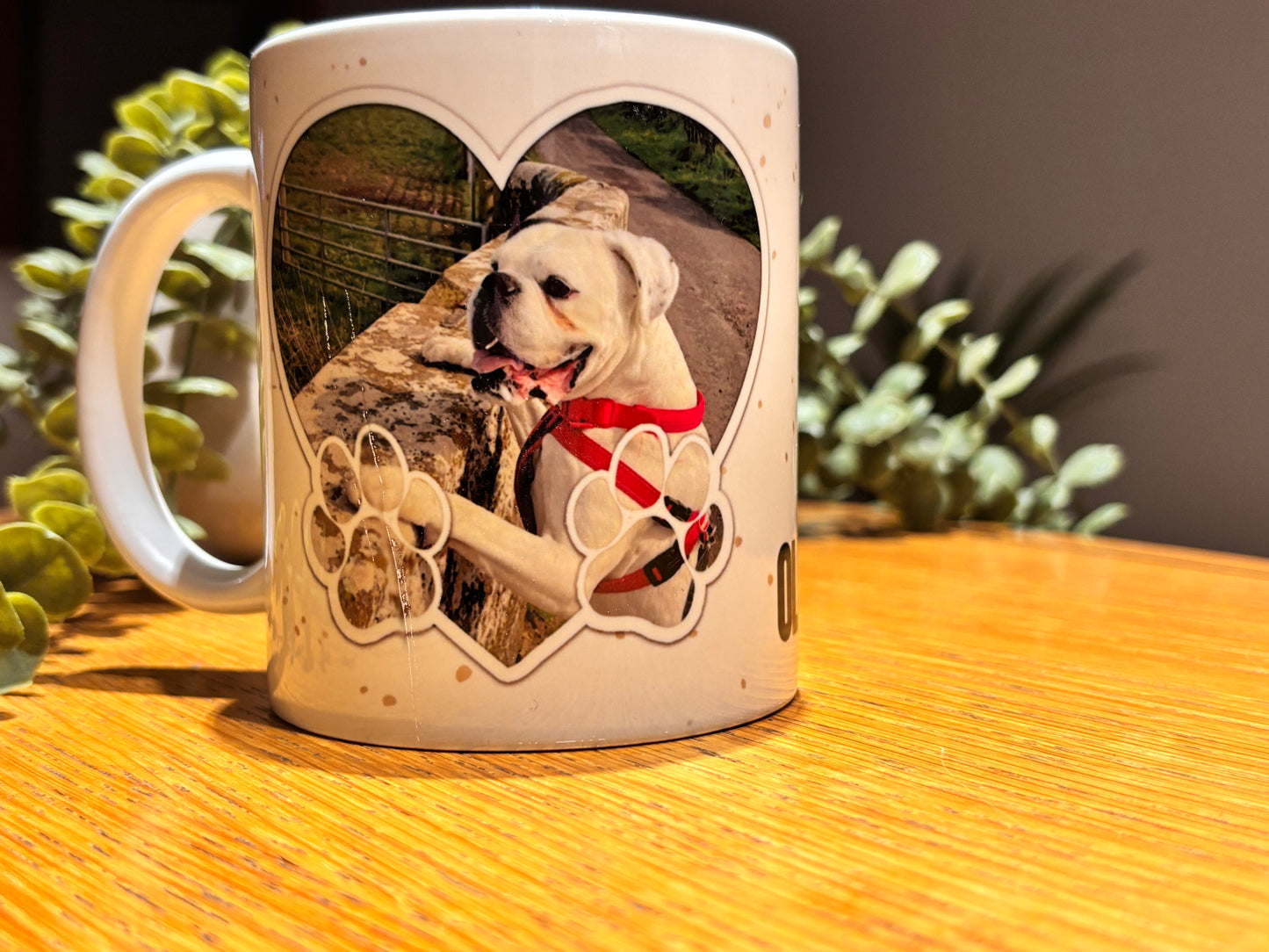 11oz Ceramic Mug - Pet Memory Design